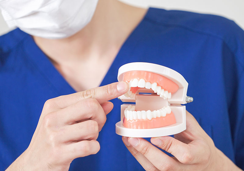 矯正治療専門医が健康的で美しい歯並びを叶える
